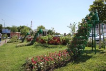 Фестиваль ценителей  музыки 