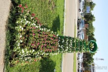 Фестиваль ценителей  музыки 