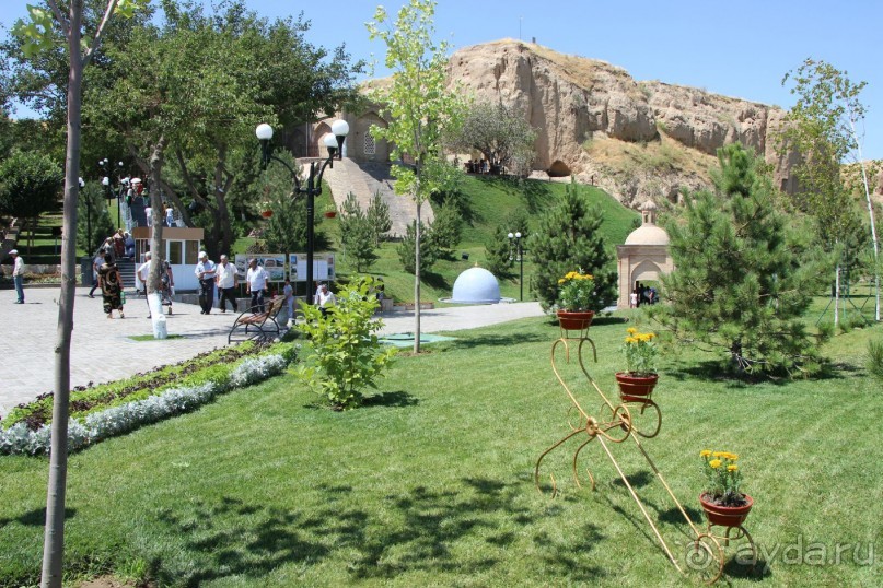 Фестиваль ценителей  музыки 