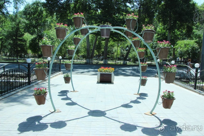 Фестиваль ценителей  музыки 