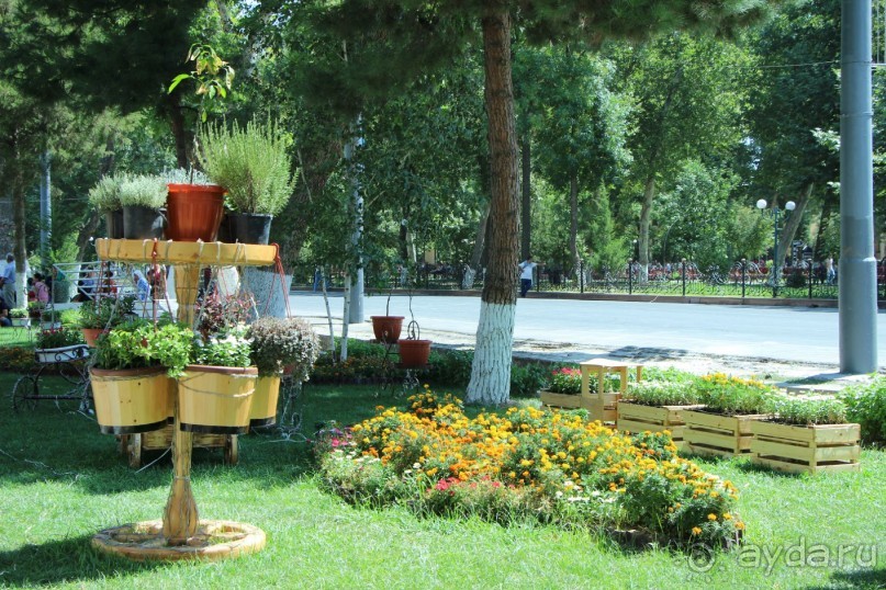 Фестиваль ценителей  музыки 