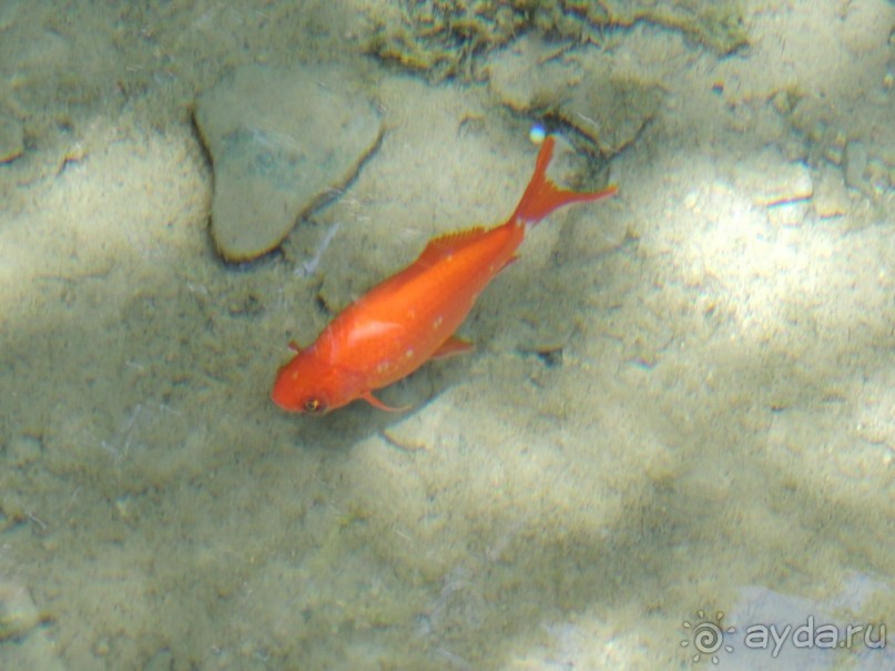 Путешествие в сад Чор-Чинор в окрестностях Самарканда 