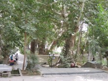 Путешествие в сад Чор-Чинор в окрестностях Самарканда 
