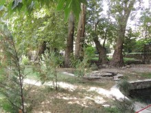 Путешествие в сад Чор-Чинор в окрестностях Самарканда 