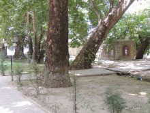 Путешествие в сад Чор-Чинор в окрестностях Самарканда 