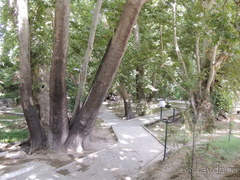 Путешествие в сад Чор-Чинор в окрестностях Самарканда 