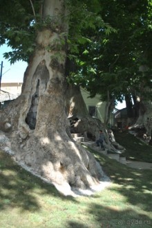 Путешествие в сад Чор-Чинор в окрестностях Самарканда 