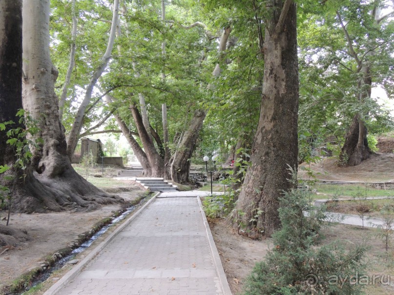 Путешествие в сад Чор-Чинор в окрестностях Самарканда 