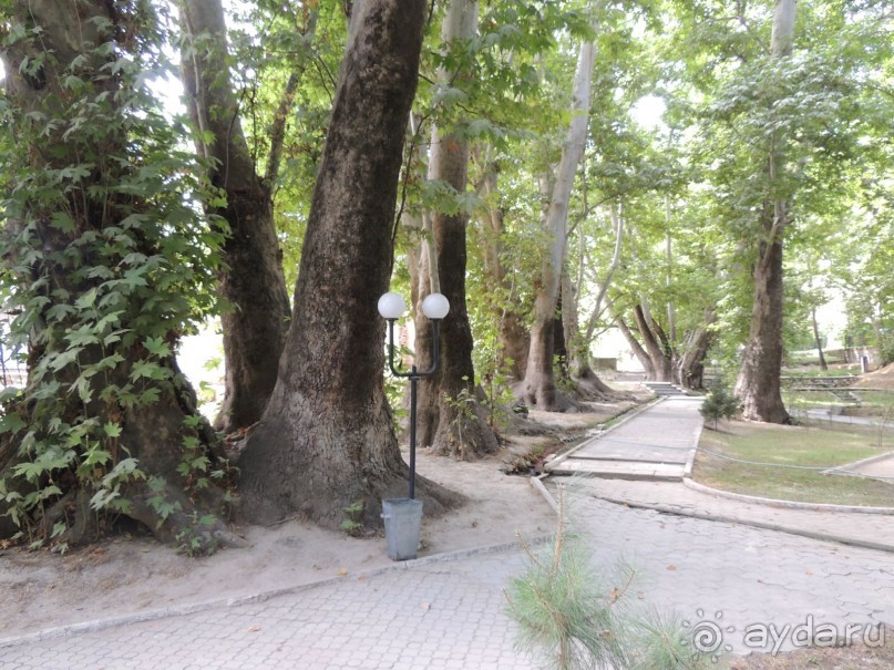 Путешествие в сад Чор-Чинор в окрестностях Самарканда 