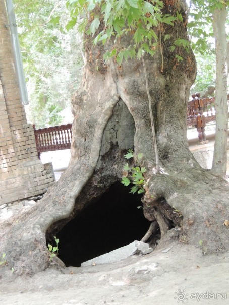 Путешествие в сад Чор-Чинор в окрестностях Самарканда 