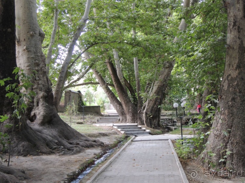 Путешествие в сад Чор-Чинор в окрестностях Самарканда 
