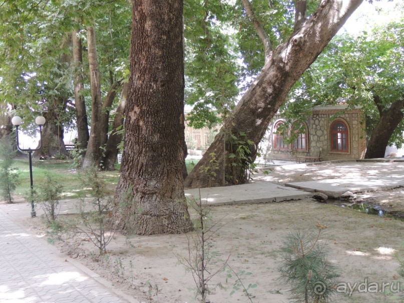 Путешествие в сад Чор-Чинор в окрестностях Самарканда 