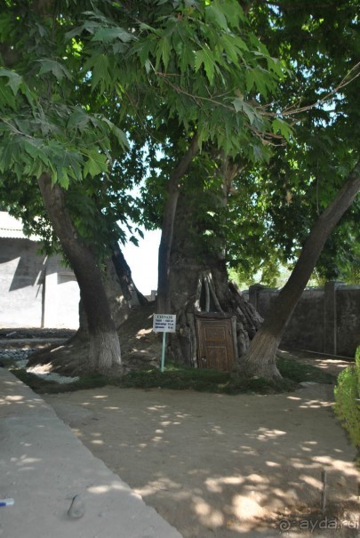 Путешествие в сад Чор-Чинор в окрестностях Самарканда 