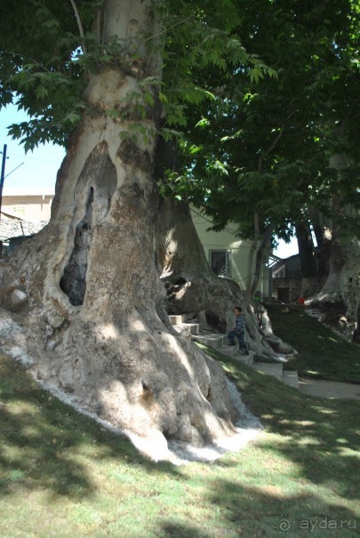 Путешествие в сад Чор-Чинор в окрестностях Самарканда 
