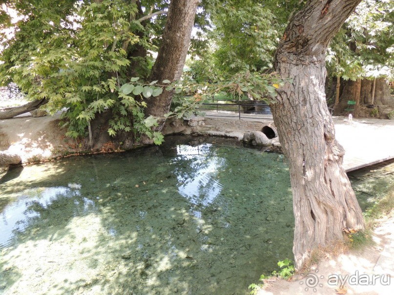 Путешествие в сад Чор-Чинор в окрестностях Самарканда 