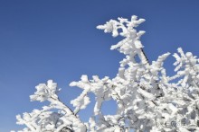   Райский уголок зеравшанского хребта