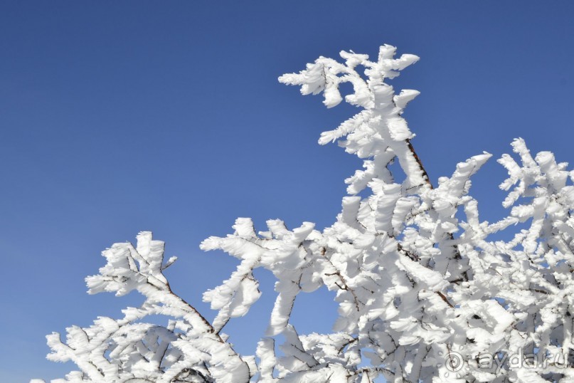   Райский уголок зеравшанского хребта