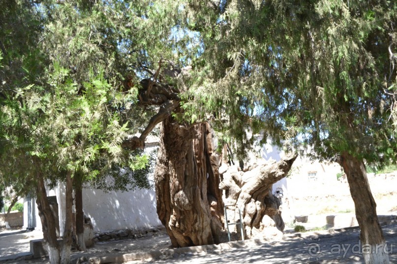 Тайны села Тим