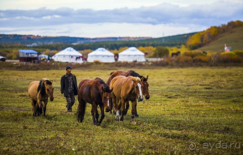 Уникальный проект-путешествие в Китай!