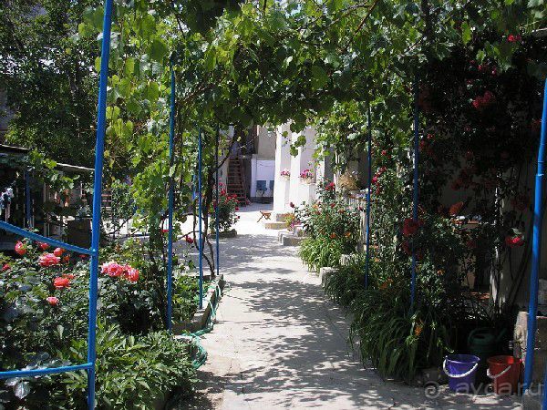 Гостевой дом 7я  г. Судак от 250 рублей с человека