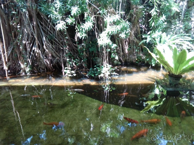 Недорогой, добротный, тихий отель