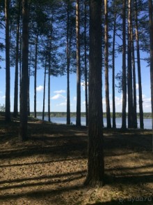 Отличный Отдых