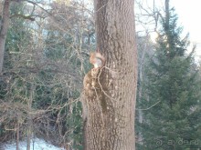 Фото сделано в парке города Кисловодск.