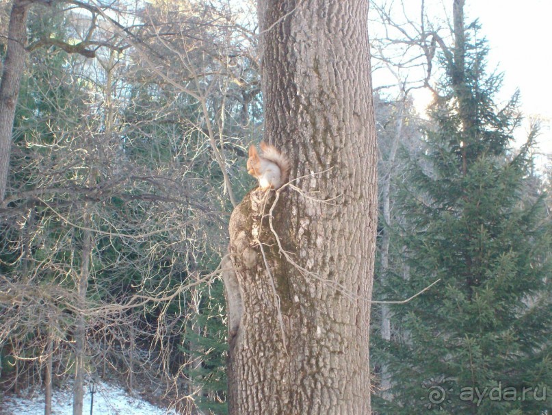 Фото сделано в парке города Кисловодск.