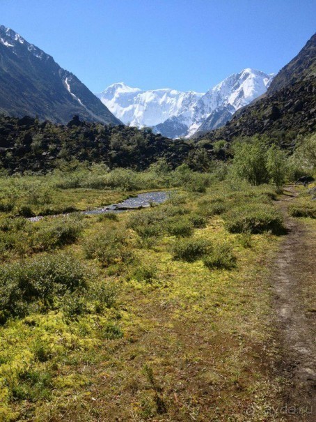 Гора Белуха во всей своей красе. Фото А. Болясова