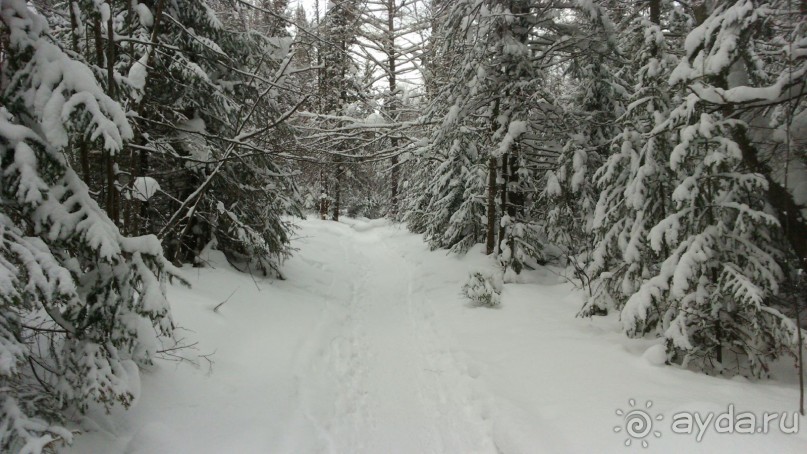 Классическая картина: "Таганайская зимняя тропа"