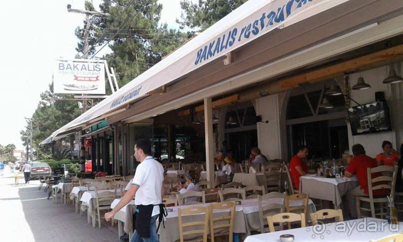 Идеальный отдых на Халкидиках (курортный поселок Пефкохори)