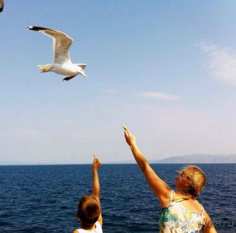 Круиз “Святой Афон”