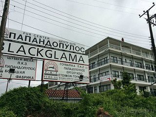 Шубные места Касторьи