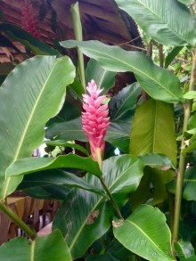 Отличный отдых в солнечной Доминикане