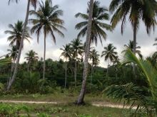 Отличный отдых в солнечной Доминикане