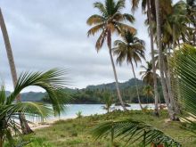 Отличный отдых в солнечной Доминикане