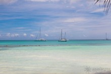 Отличный отдых в солнечной Доминикане