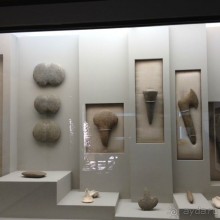 Отличный отдых в солнечной Доминикане