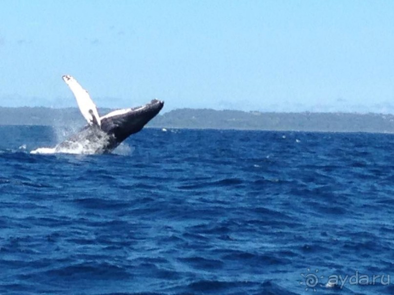 Отличный отдых в солнечной Доминикане