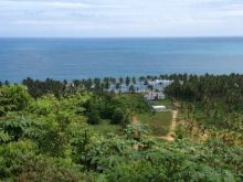 Отличный отдых в солнечной Доминикане