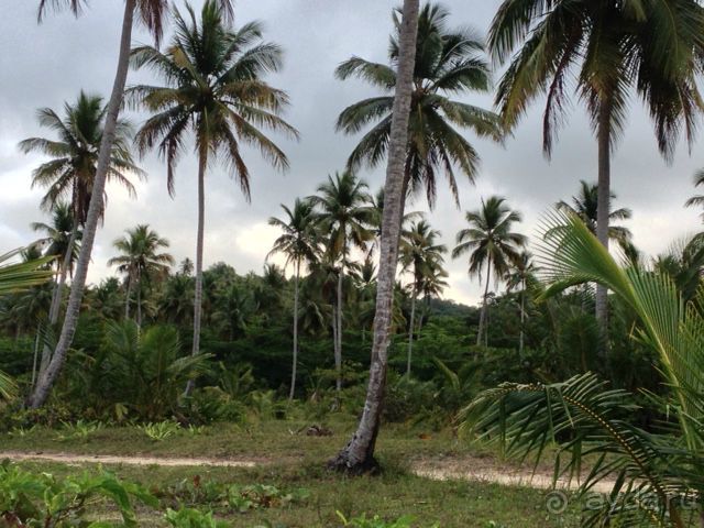 Отличный отдых в солнечной Доминикане