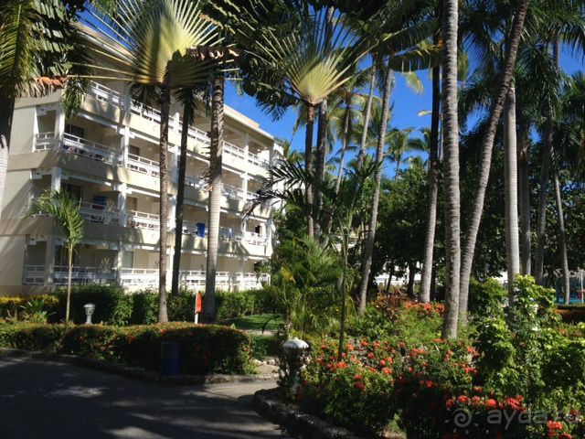 Отличный отдых в солнечной Доминикане