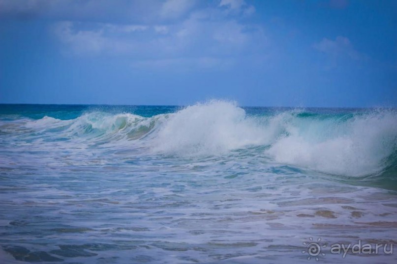 Отличный отдых в солнечной Доминикане