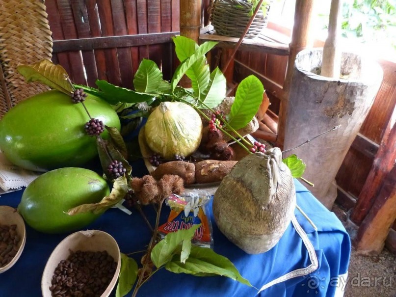 Отличный отдых в солнечной Доминикане