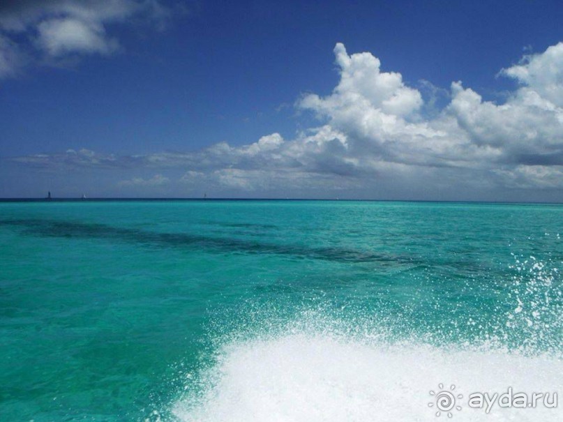 Отличный отдых в солнечной Доминикане