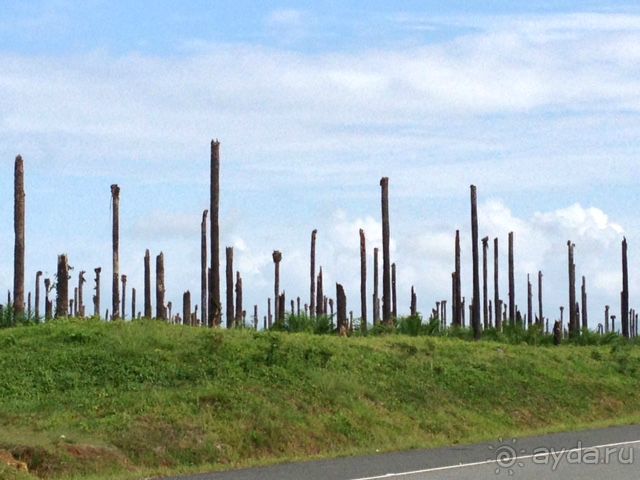 Отличный отдых в солнечной Доминикане