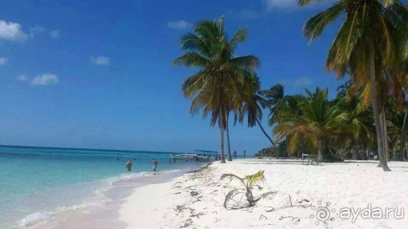 Отличный отдых в солнечной Доминикане