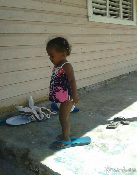 Отличный отдых в солнечной Доминикане