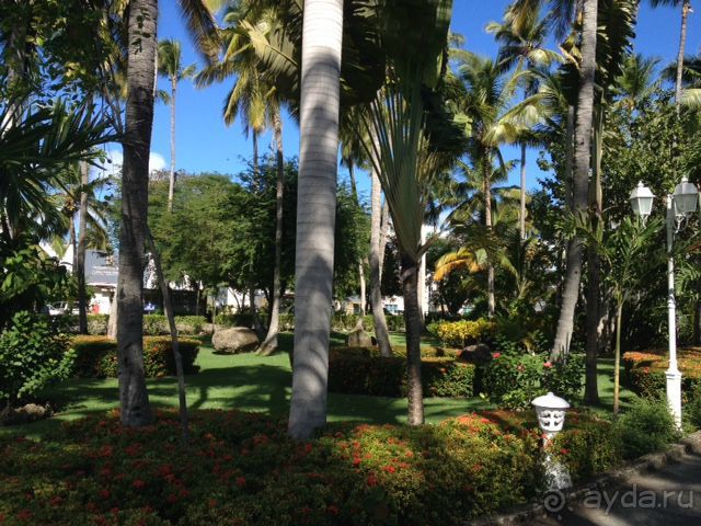 Отличный отдых в солнечной Доминикане