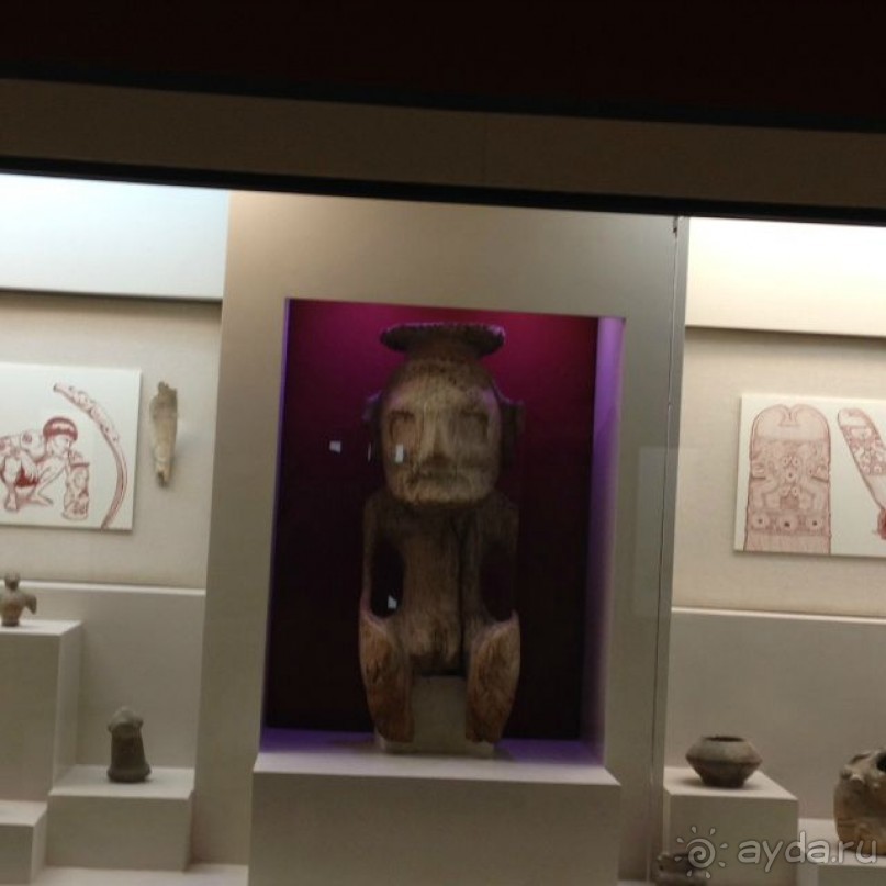 Отличный отдых в солнечной Доминикане